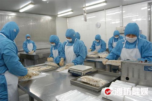 潍城 全业态发展,塑造预制菜产业新优势